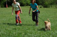 /album/fotogalerie/dsc-0018-jpg/