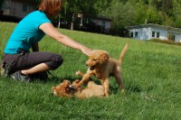 /album/fotogalerie/dsc-0044-jpg/