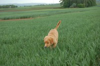 /album/fotogalerie/dsc-0055-jpg/