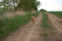 /album/fotogalerie/dsc-0060-jpg/