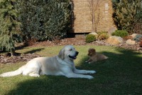 /album/fotogalerie/dsc-0179-jpg/