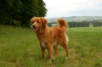 /album/fotogalerie/dsc-0771-jpg/