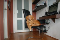 /album/fotogalerie/dsc-0284-jpg/