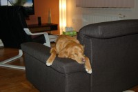 /album/fotogalerie/dsc-0327-jpg/