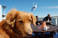 /album/fotogalerie/dsc-0035-jpg/